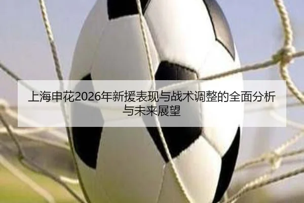上海申花2026年新援表现与战术调整的全面分析与未来展望