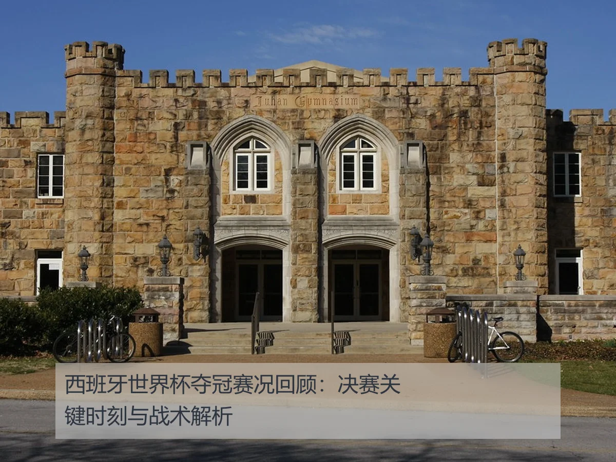 西班牙世界杯夺冠赛况回顾：决赛关键时刻与战术解析