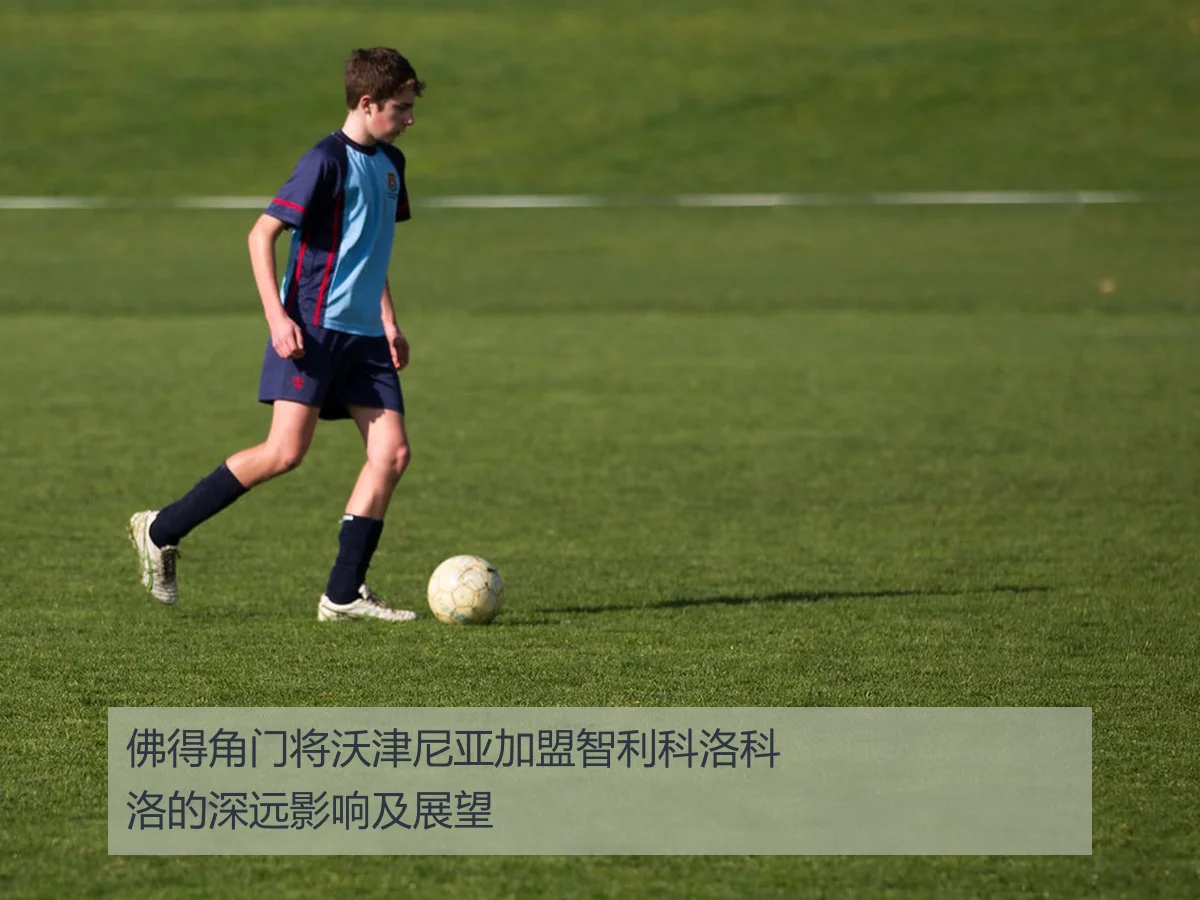 佛得角门将沃津尼亚加盟智利科洛科洛的深远影响及展望
